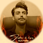 دانلود ریمیکس آهنگ شبونه بی هوا دلتنگ میشم کامل با داراب موزیک 1403 شبونه بی هوا دلتنگ میشم