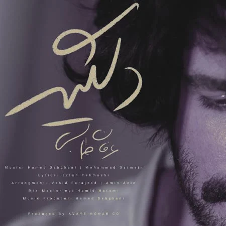 دانلود آهنگ دلگیر عرفان طهماسبی