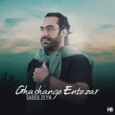 دانلود آهنگ قشنگه انتظار از صادق زین