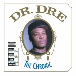 دانلود آهنگ Bitches Ain Dr. Dre
