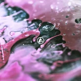 دانلود آهنگ Casualty Linkin Park