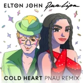 دانلود آهنگ Cold Heart - PNAU Remix Dua Lipa