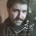 دانلود آهنگ دیوانه‌ی شهر حمید هیراد
