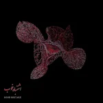 دانلود آهنگ نگاه Bahram Nouraei