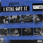 دانلود آهنگ Gangsta Grillz_ I Still Got It Snoop Dogg