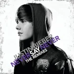 دانلود آهنگ Never Say Never Justin Bieber