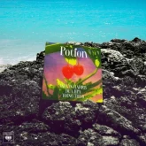 دانلود آهنگ Potion Dua Lipa
