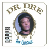 دانلود آهنگ The Day The Niggaz Took Over Dr. Dre