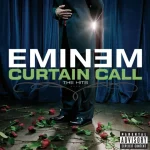 دانلود آهنگ The Real Slim Shady Eminem