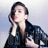 دانلود آهنگ Want To Dua Lipa