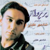 کاور آهنگ هم نفس از شادمهر عقیلی