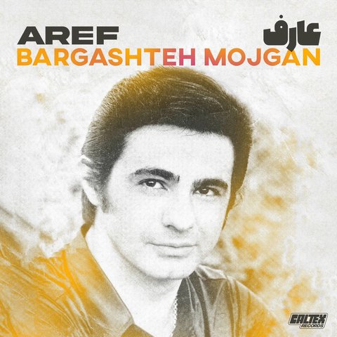 دانلود آهنگ Bargashteh Mojgan از عارف Bargashteh Mojgan