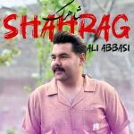 شاهرگ