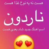 ناردون