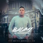 دیوانه وار دوسش دارم