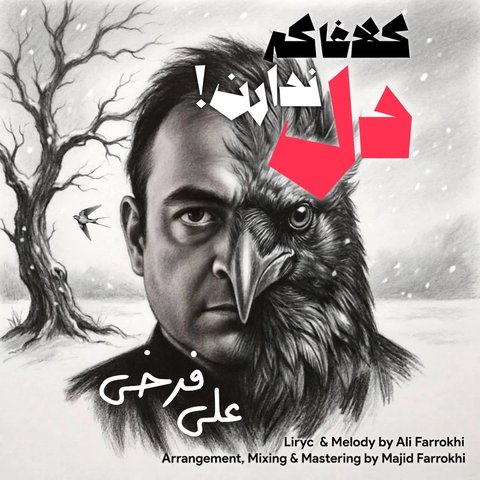 دانلود آهنگ جدید کلاغا که دل ندارن از علی فرخی جدید کلاغا که دل ندارن