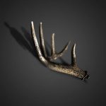 کات