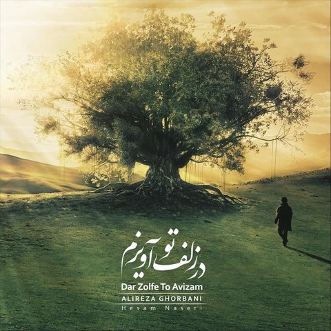 دانلود آهنگ Dar Zolfe To Avizam از علیرضا قربانی Dar Zolfe To Avizam