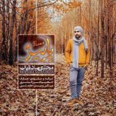 کاشکی