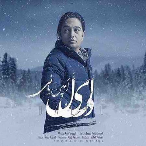 دانلود آهنگ دلیل از امین بانی دلیل