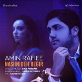 نشنیده بگیر