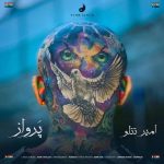 پرواز