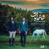 جدید شاخه نبات