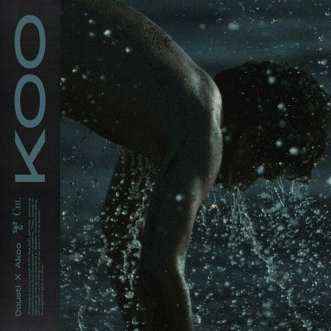 دانلود آهنگ Koo از آرین دوستی Koo