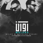 مولانا
