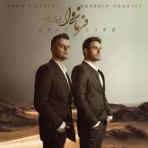 حالِش کنیم