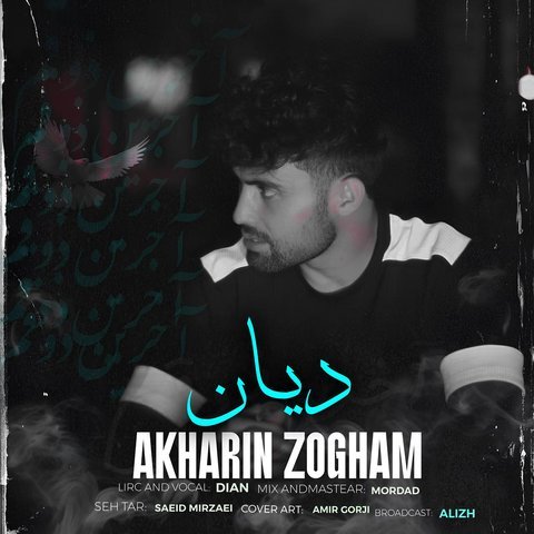 آخرین ذوقم
