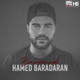 برگرد