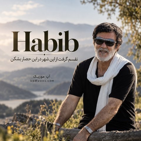 نفسم گرفت از این شهر در این حصار بشکن