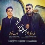 باران ببارد میروی