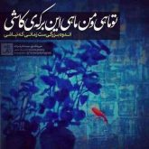 ماه و ماهی
