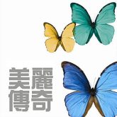 玫瑰花