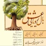 بال رویایی عشق