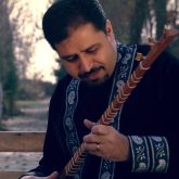 یار یار