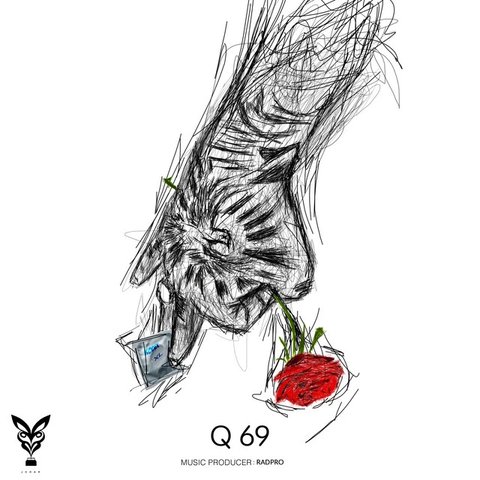 دانلود آهنگ Q69 از حصین Q69