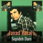 Sepideh Dam