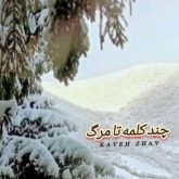 جدید چند کلمه تا مرگ بیکلام