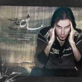 عاشق شدم