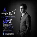شب که نسیم می وزد