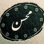 متاسفم برات ای دل ساده