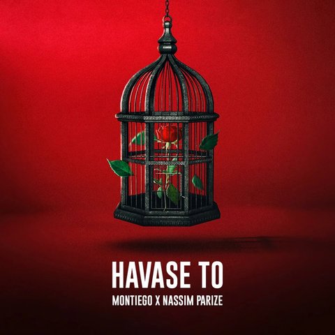 دانلود آهنگ Havase to (feat. Nassim) از مونتیگو Havase to (feat. Nassim)