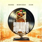 Shawarma (feat. Sasha & Zion) (Remix)