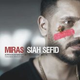 سیاه سفید
