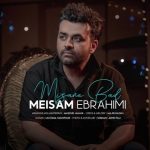 دلم میخواد از صبح تا شب نگاهت کنم