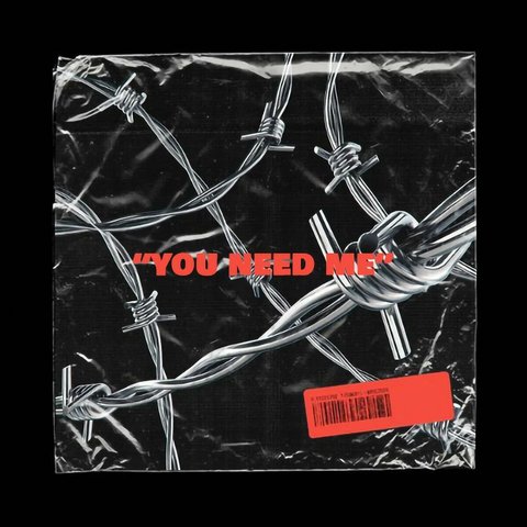 دانلود آهنگ You Need Me از پارسالیپ You Need Me