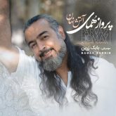 دلربایی